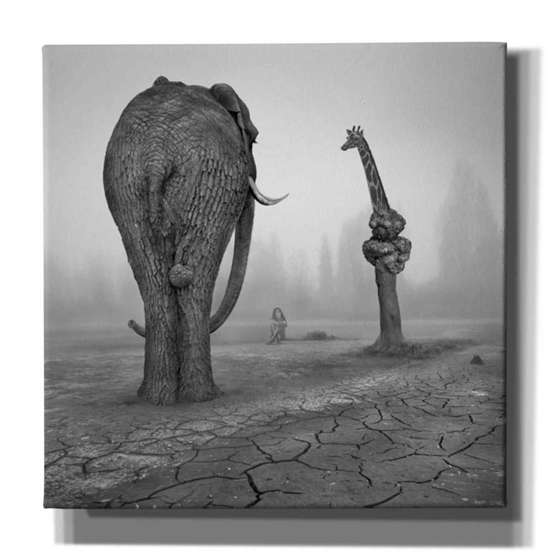 'Animalia' by Dariusz Klimczak, Giclee Canvas Wall Art