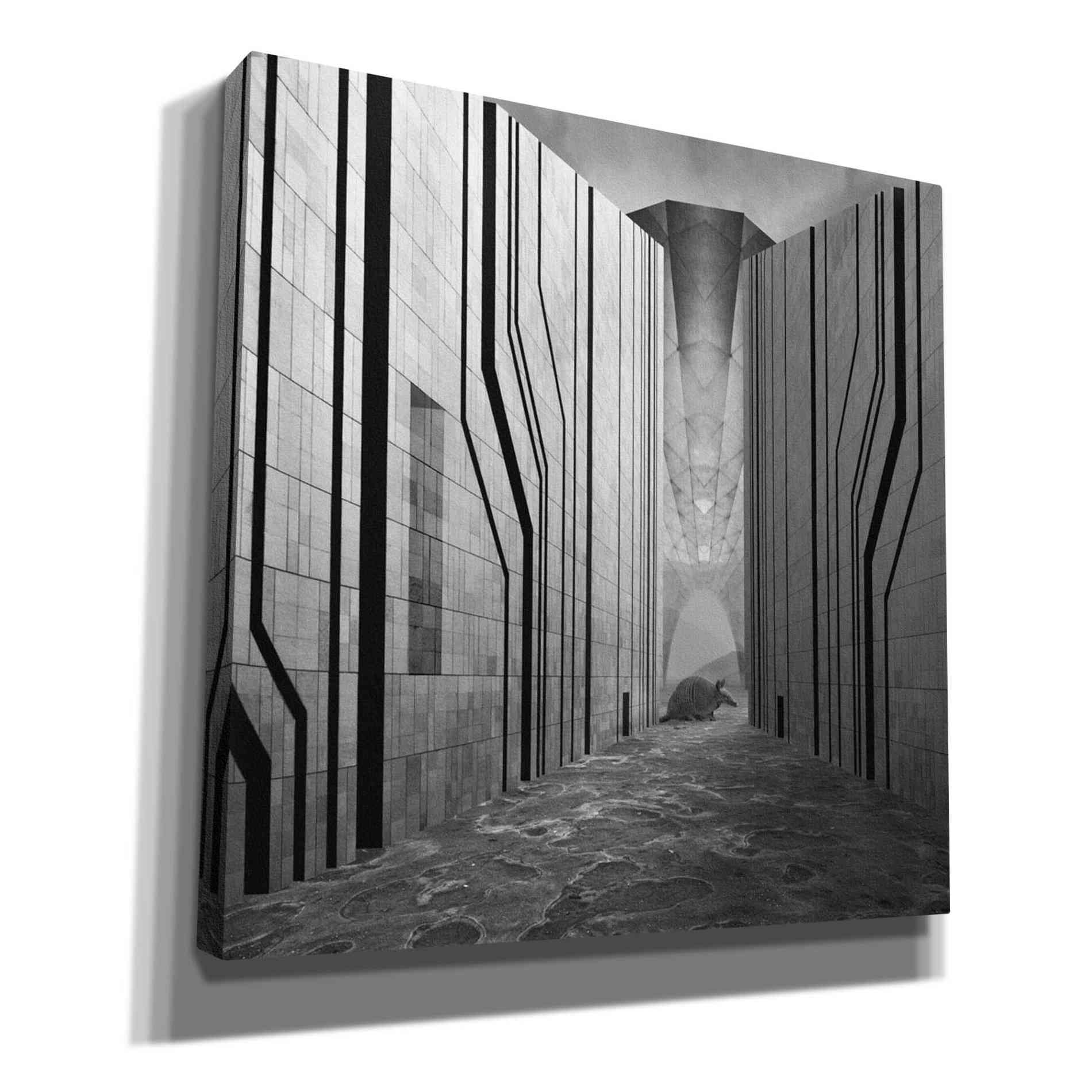 'Armadillo' by Dariusz Klimczak, Giclee Canvas Wall Art