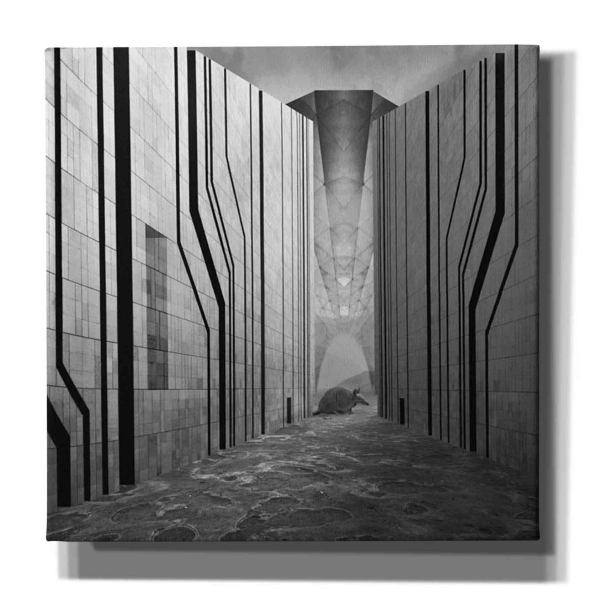 'Armadillo' by Dariusz Klimczak, Giclee Canvas Wall Art