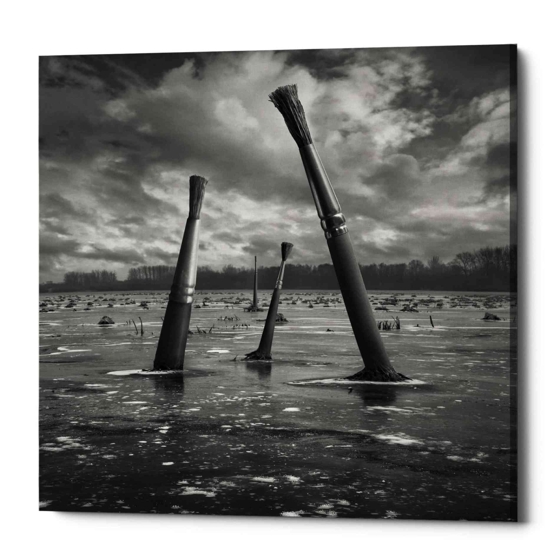 'Artland' by Dariusz Klimczak, Canvas Wall Art