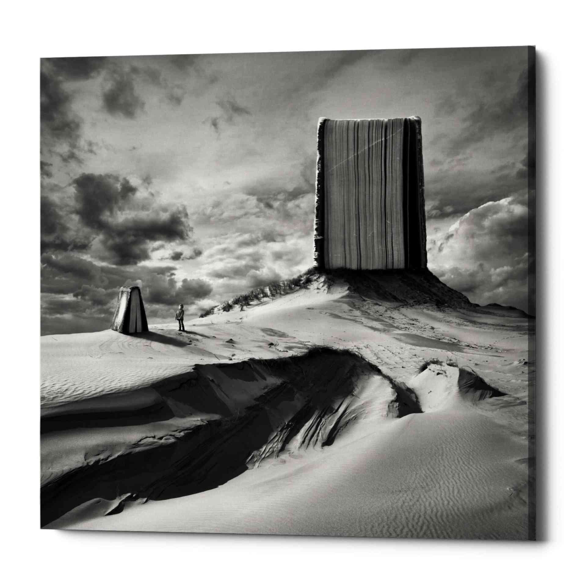 'Bookland' by Dariusz Klimczak, Canvas Wall Art