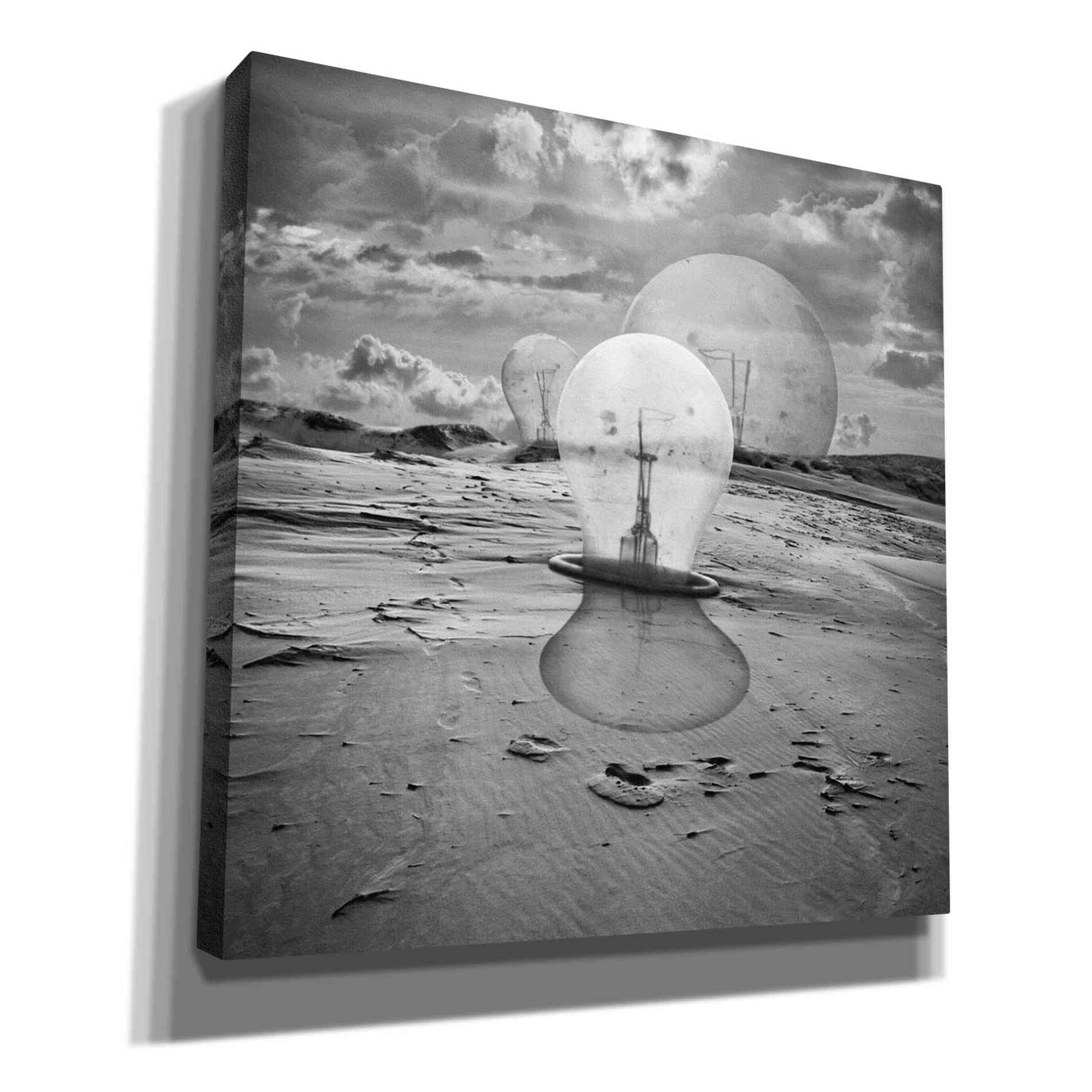 'Bulbs' by Dariusz Klimczak, Giclee Canvas Wall Art