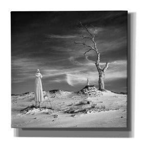 'Daydream' by Dariusz Klimczak, Giclee Canvas Wall Art