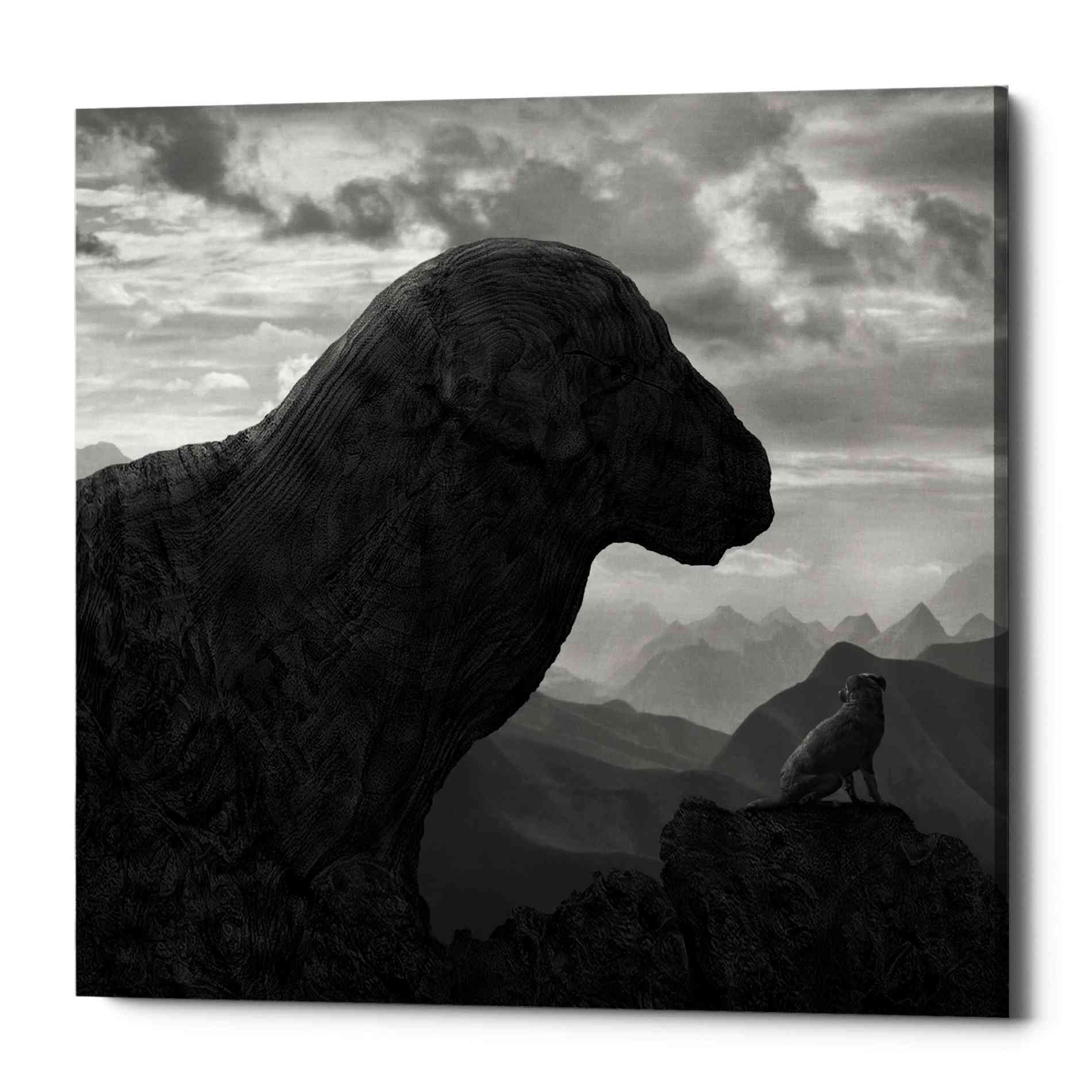'Dog Rock' by Dariusz Klimczak, Canvas Wall Art