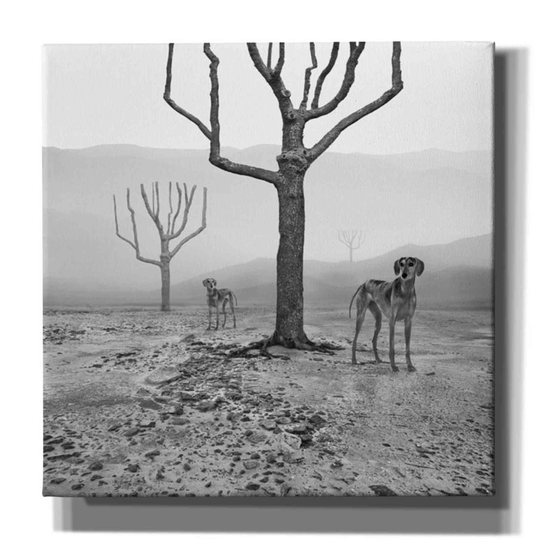 'Dogs in Fog' by Dariusz Klimczak, Giclee Canvas Wall Art