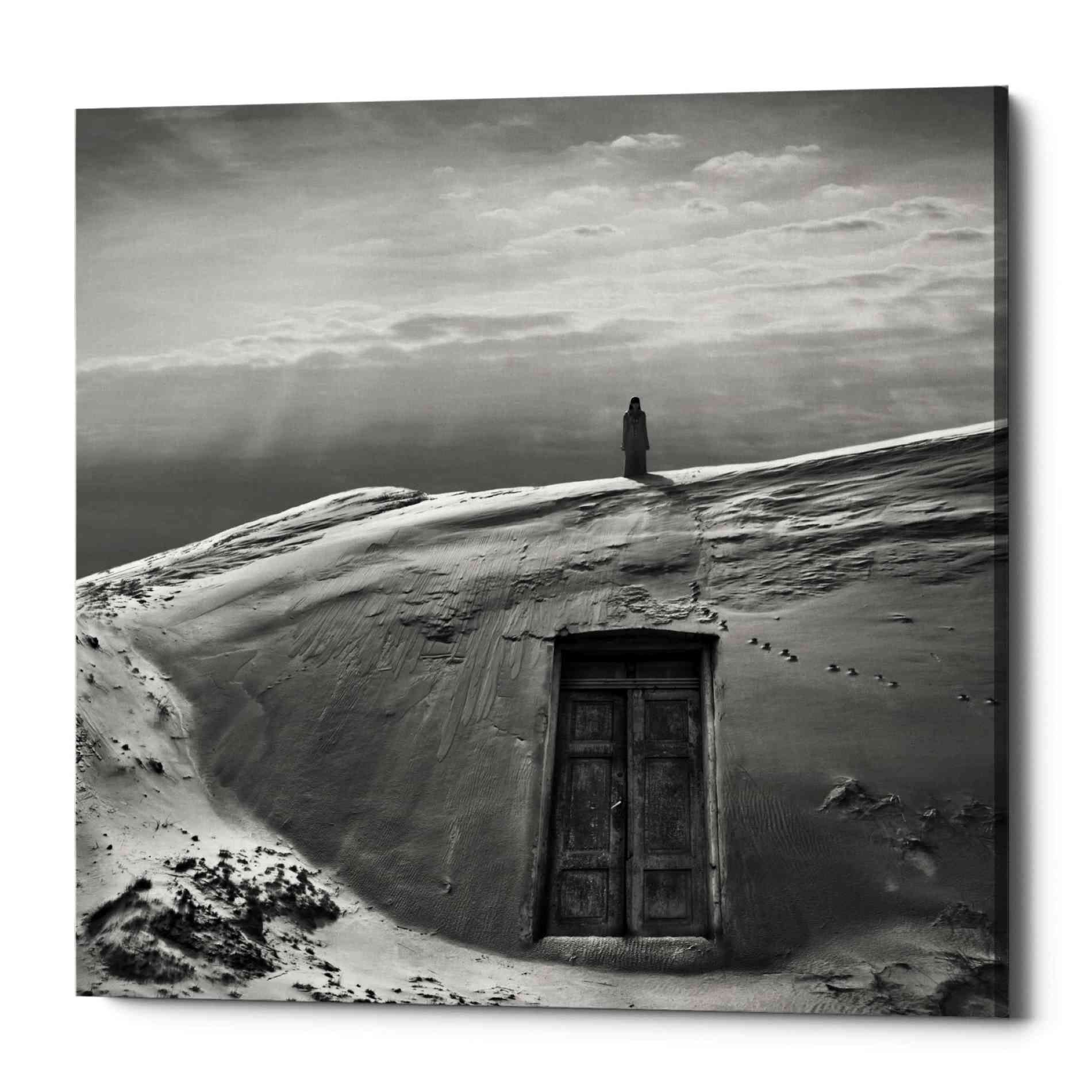'Doors of Perception' by Dariusz Klimczak, Canvas Wall Art