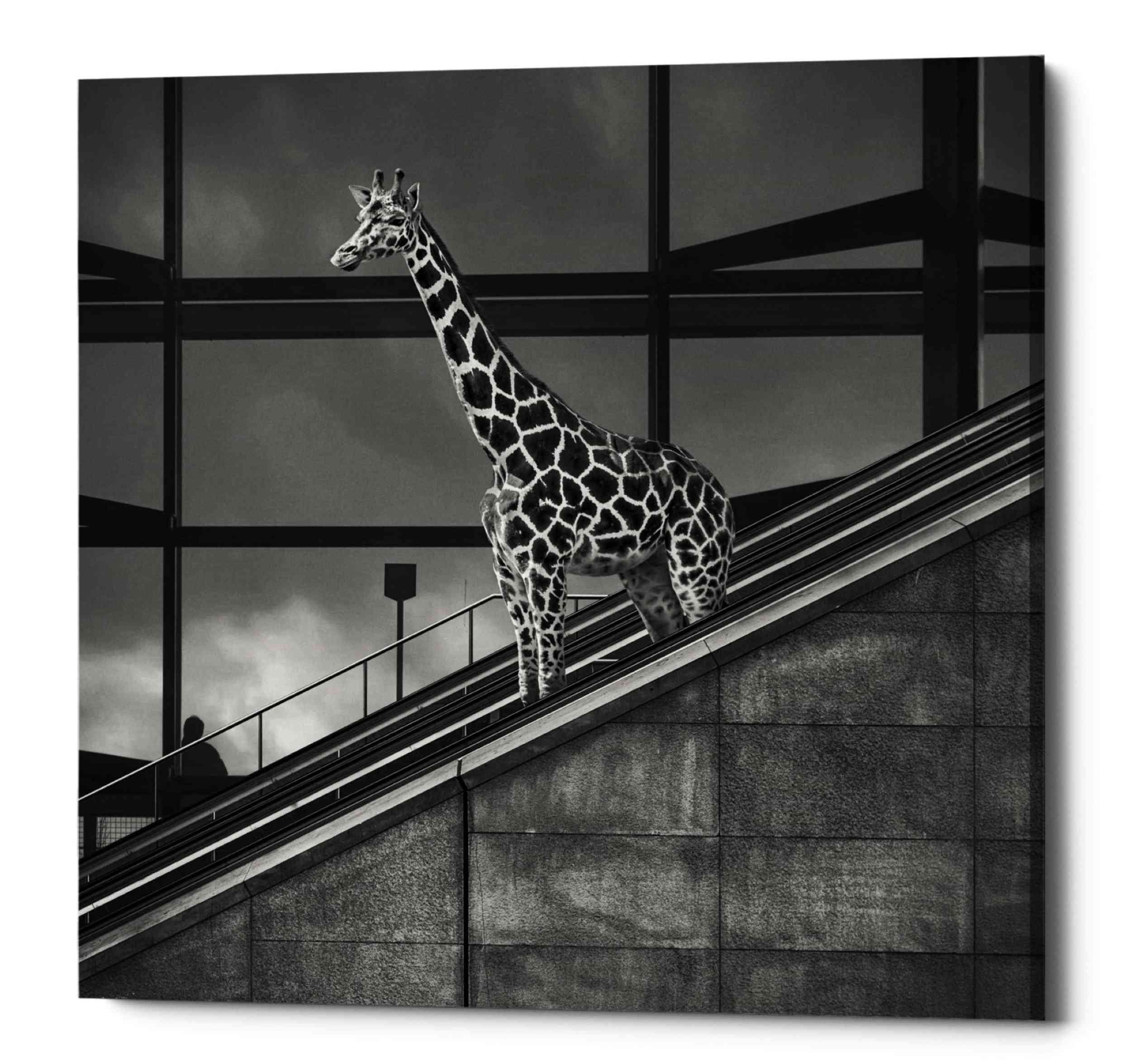 'Downstairs' by Dariusz Klimczak, Canvas Wall Art