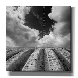 'Drabinka' by Dariusz Klimczak, Canvas Wall Art