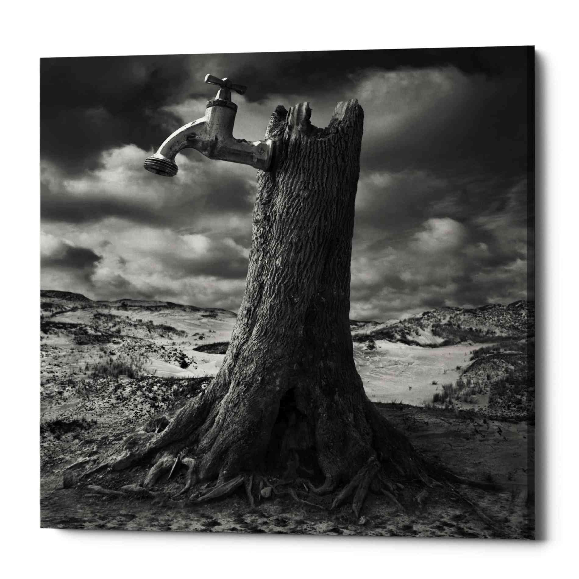 'Dry' by Dariusz Klimczak, Canvas Wall Art