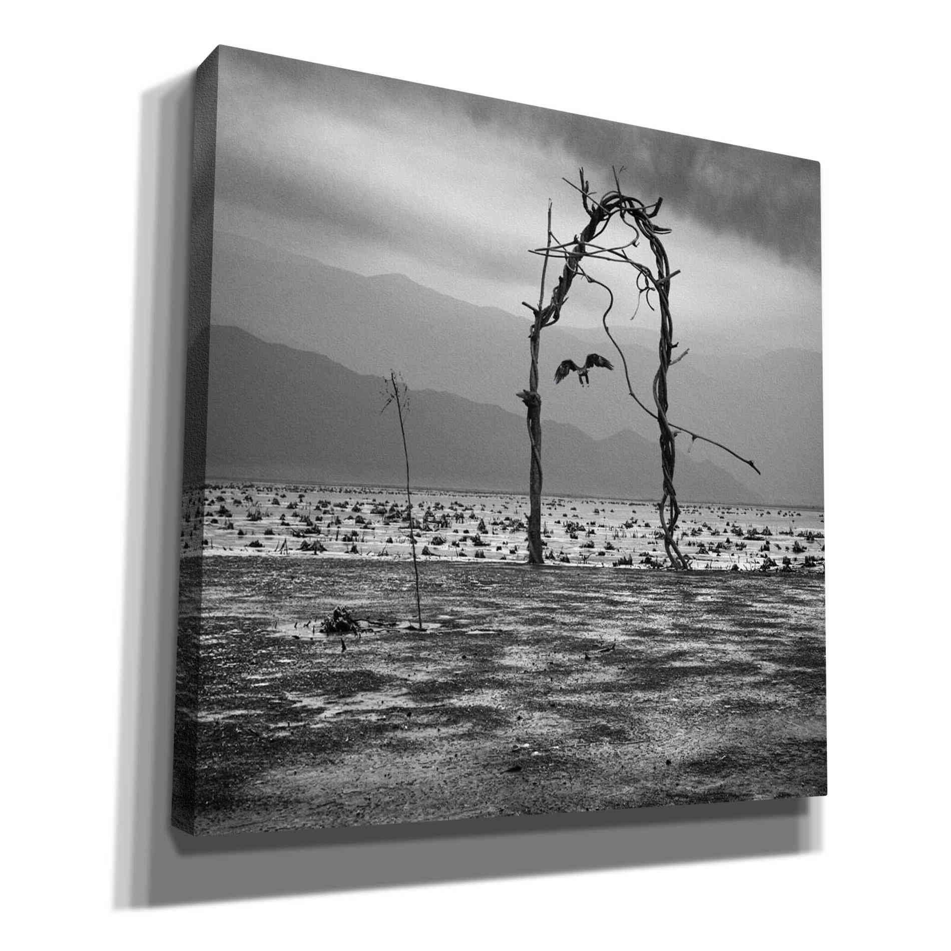 'Eagle' by Dariusz Klimczak, Giclee Canvas Wall Art