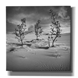 'Egarden' by Dariusz Klimczak, Giclee Canvas Wall Art