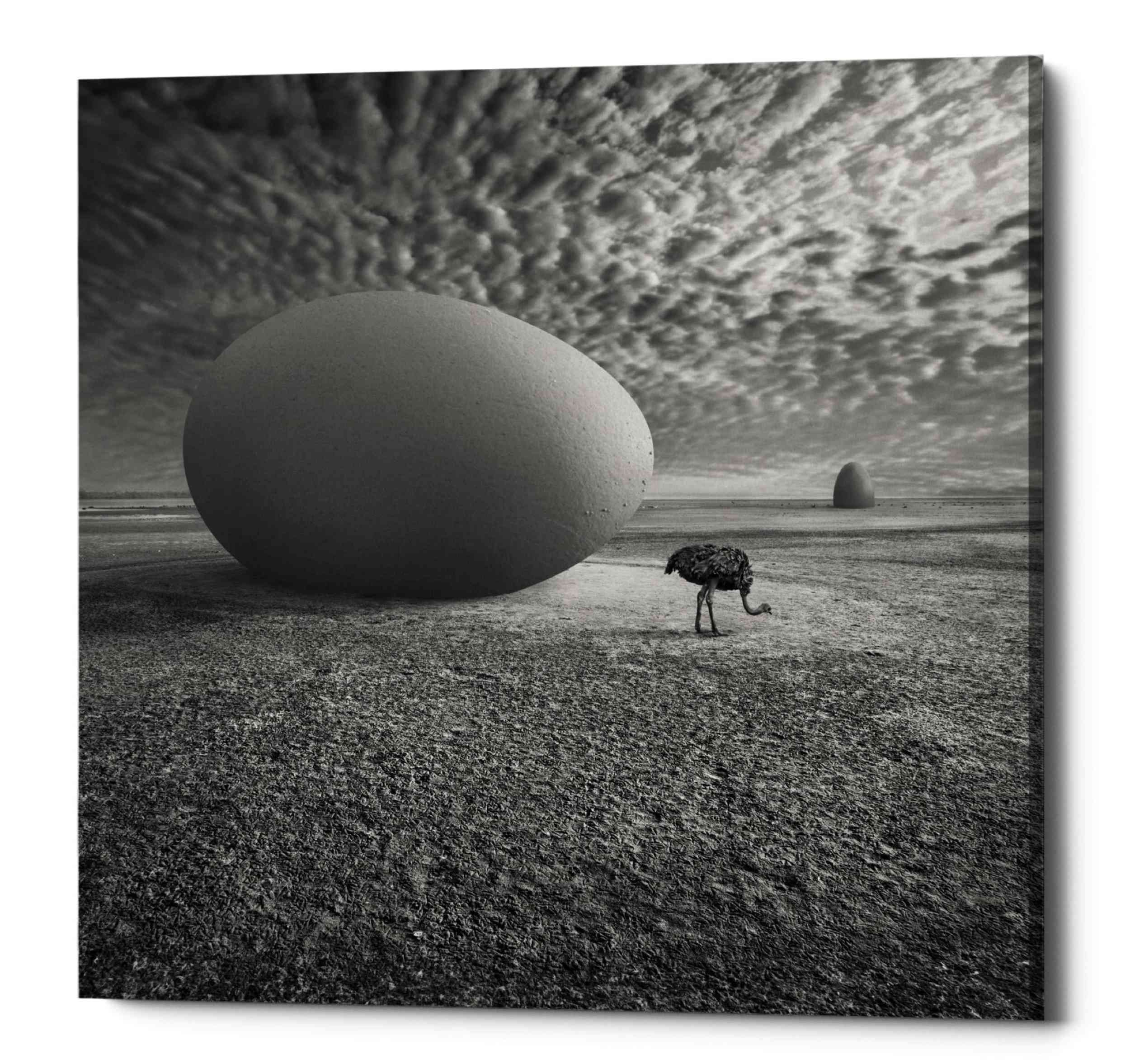'EggO' by Dariusz Klimczak, Canvas Wall Art