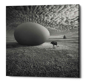 'EggO' by Dariusz Klimczak, Canvas Wall Art