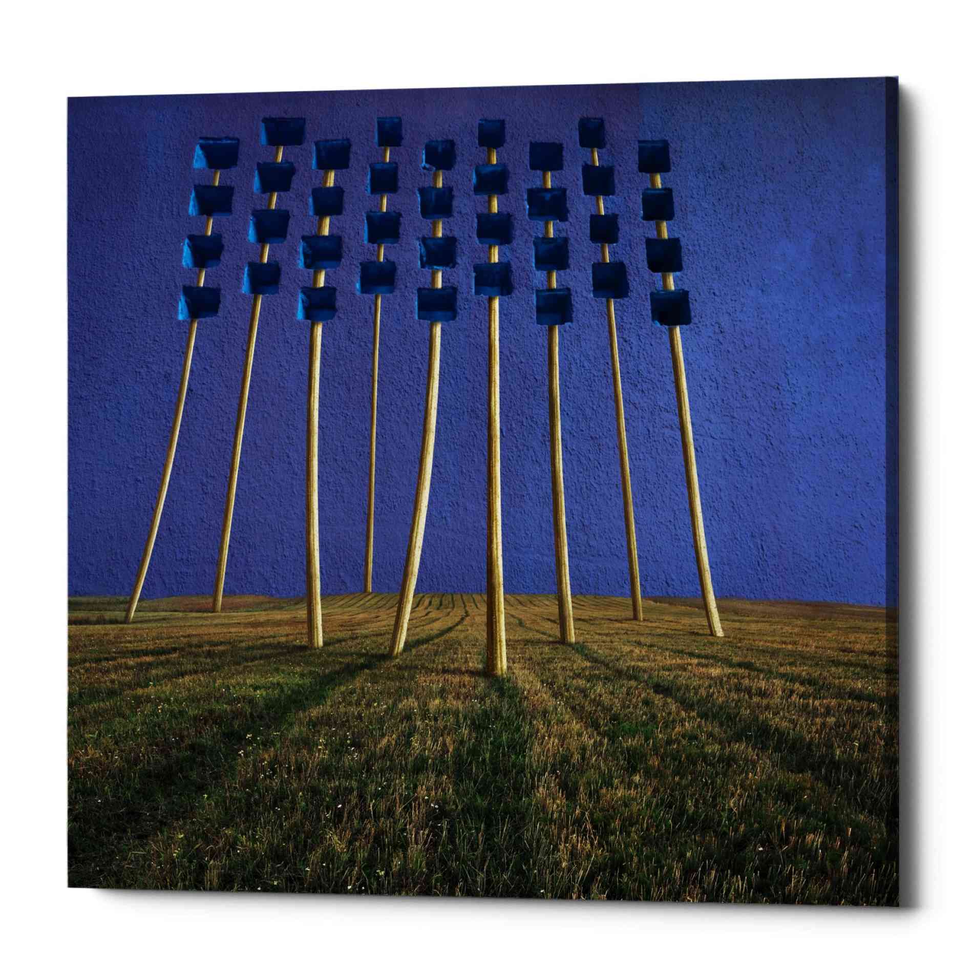 'Flowers' by Dariusz Klimczak, Canvas Wall Art