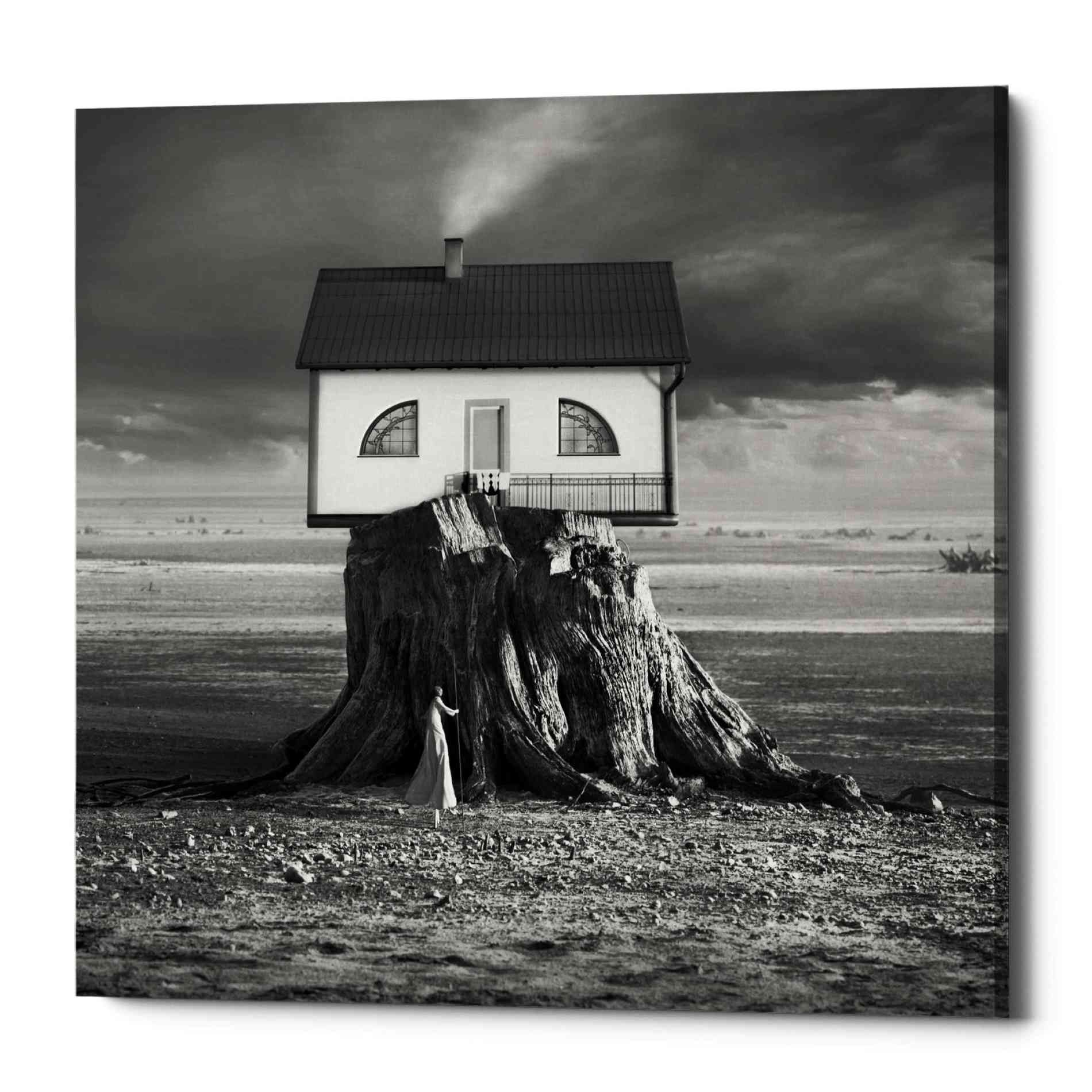 'House' by Dariusz Klimczak, Canvas Wall Art