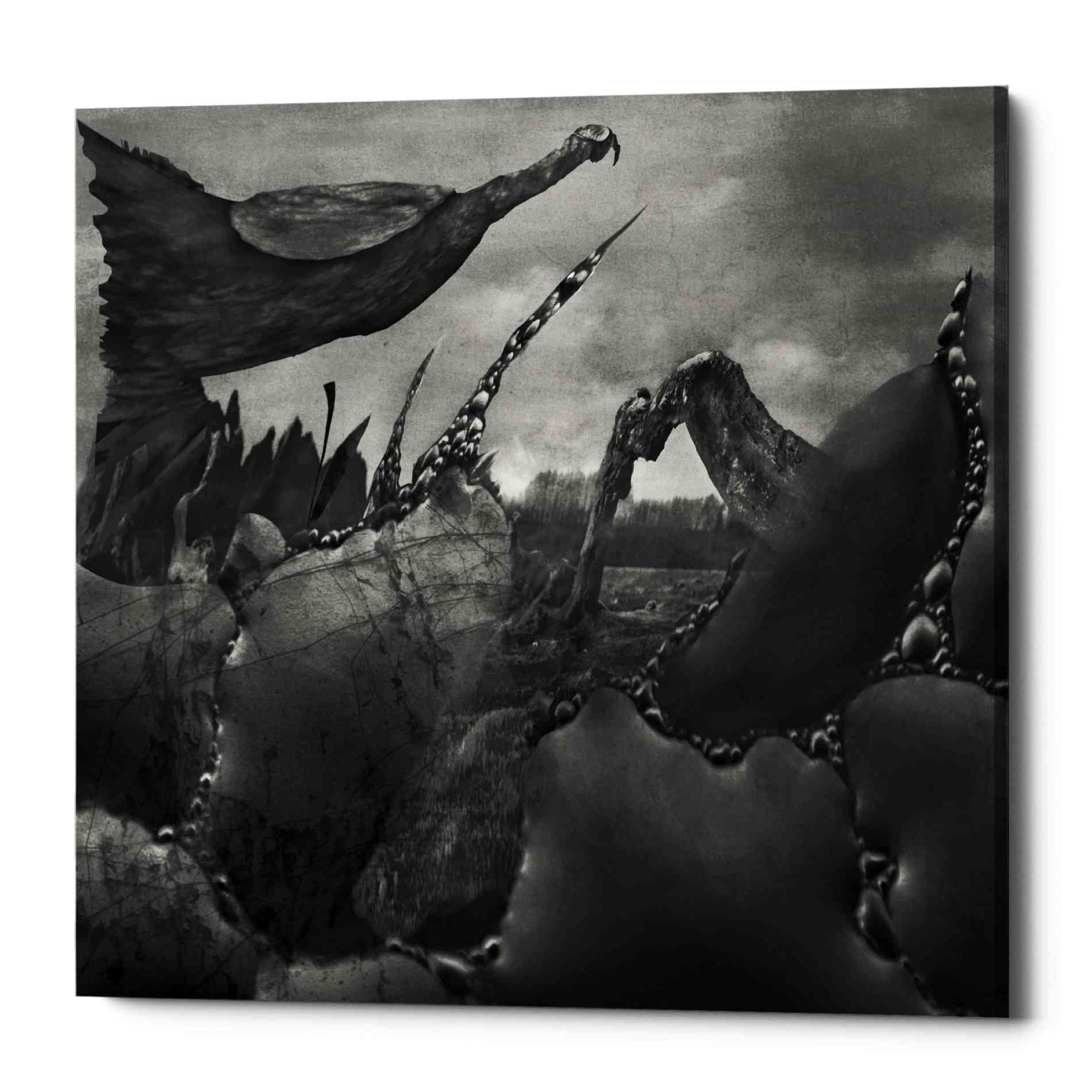 'Hovel' by Dariusz Klimczak, Canvas Wall Art