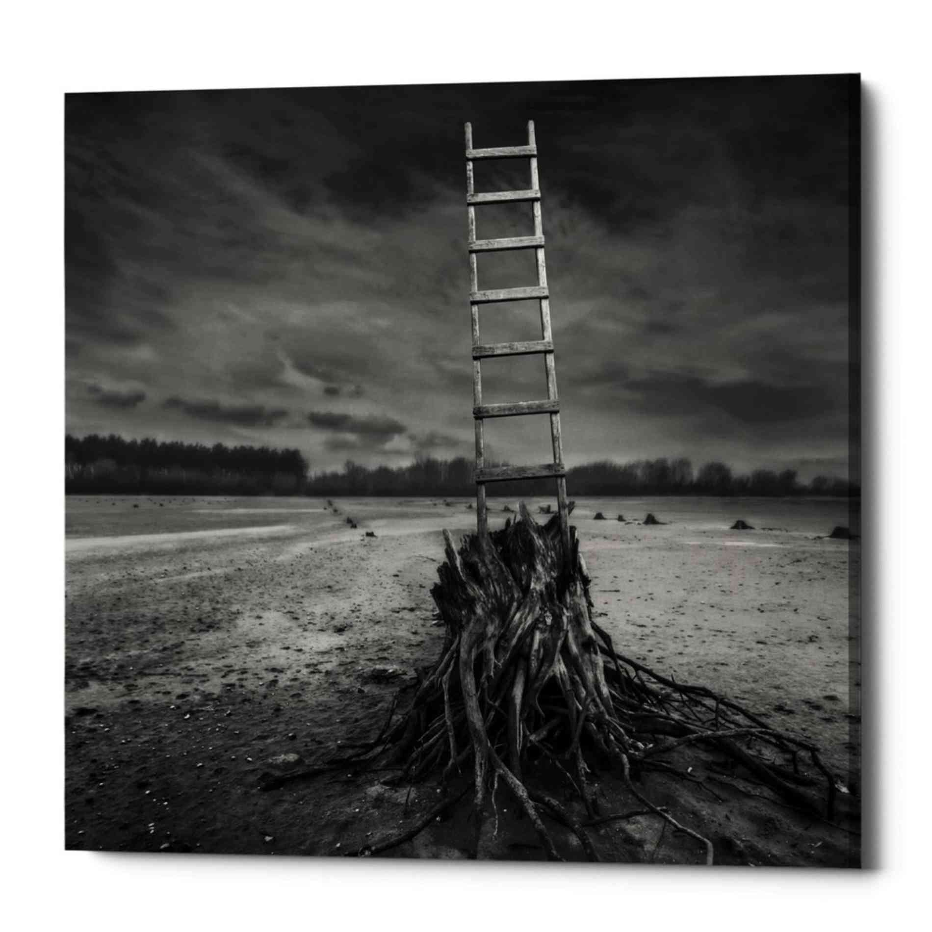 'Jacob's Ladder' by Dariusz Klimczak, Canvas Wall Art