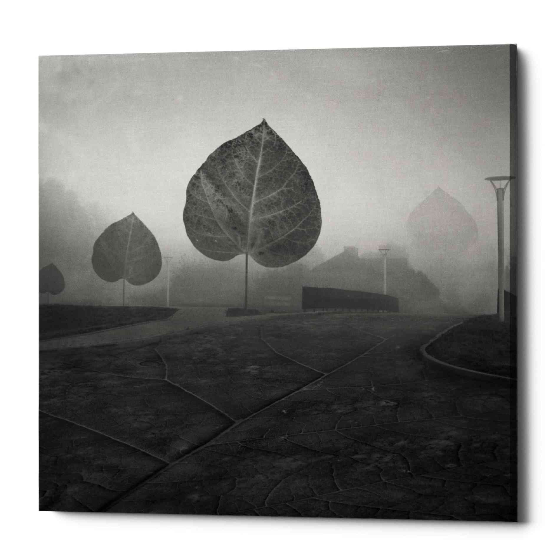 'Leave Alley' by Dariusz Klimczak, Canvas Wall Art