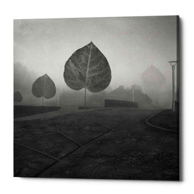 'Leave Alley' by Dariusz Klimczak, Canvas Wall Art