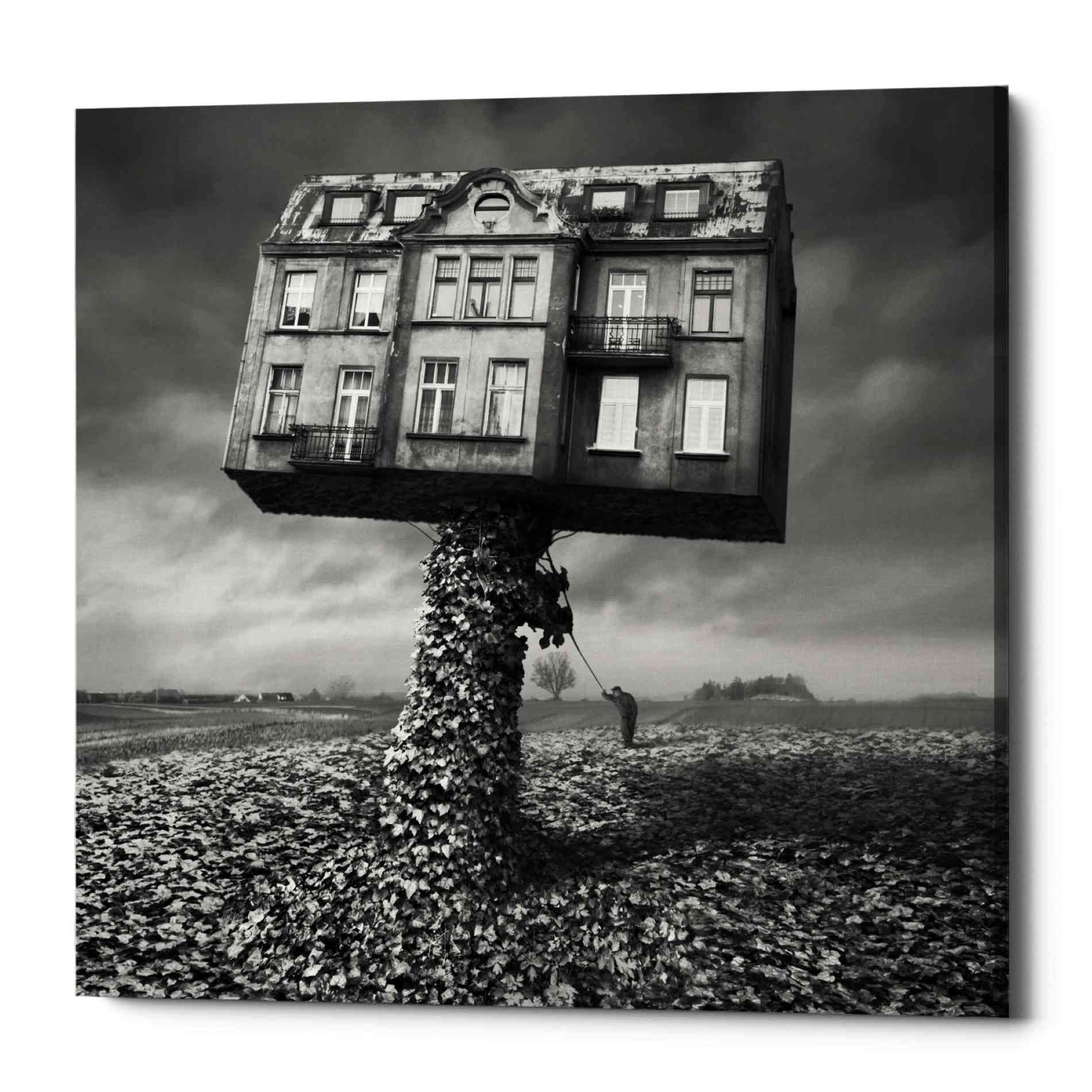 'Mad Architect' by Dariusz Klimczak, Canvas Wall Art