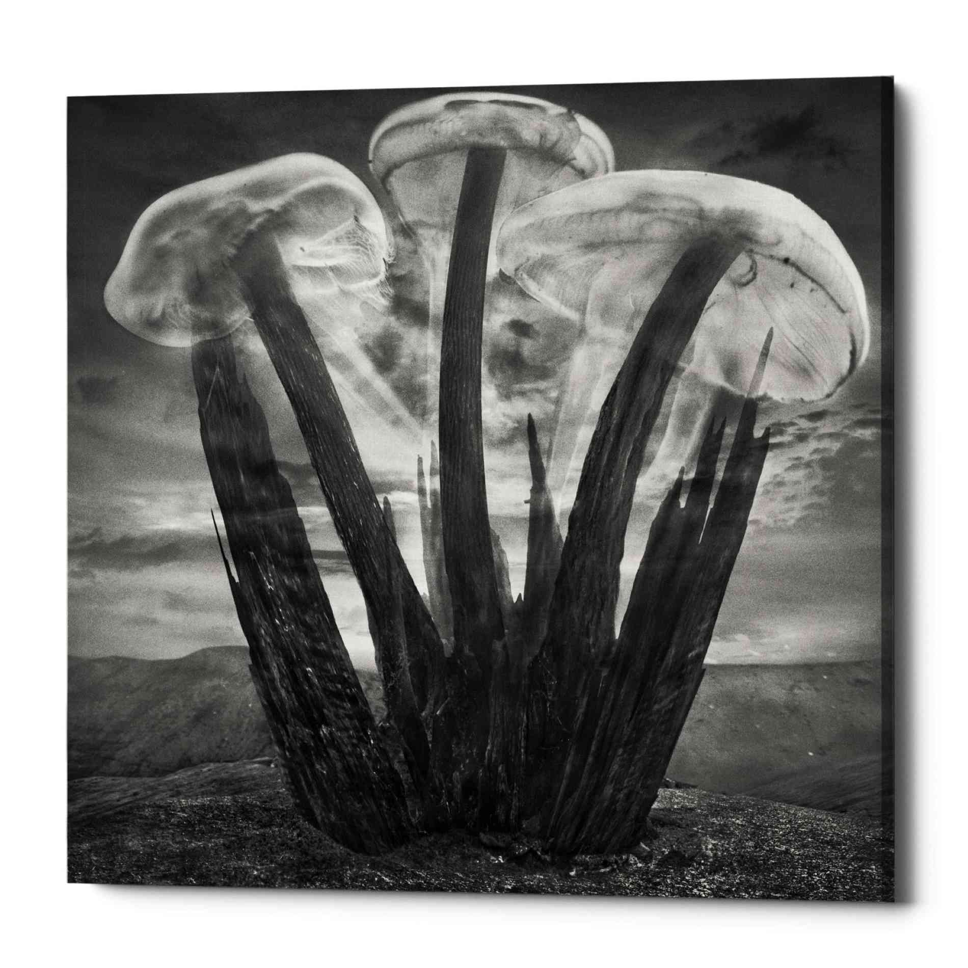 'Meduzalem' by Dariusz Klimczak, Canvas Wall Art