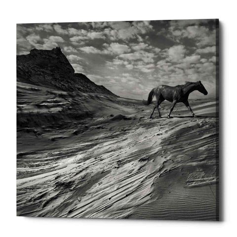 Image of 'Mustang Mountain' by Dariusz Klimczak, Canvas Wall Art