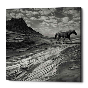 'Mustang Mountain' by Dariusz Klimczak, Canvas Wall Art