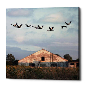 'Oktet' by Dariusz Klimczak, Canvas Wall Art