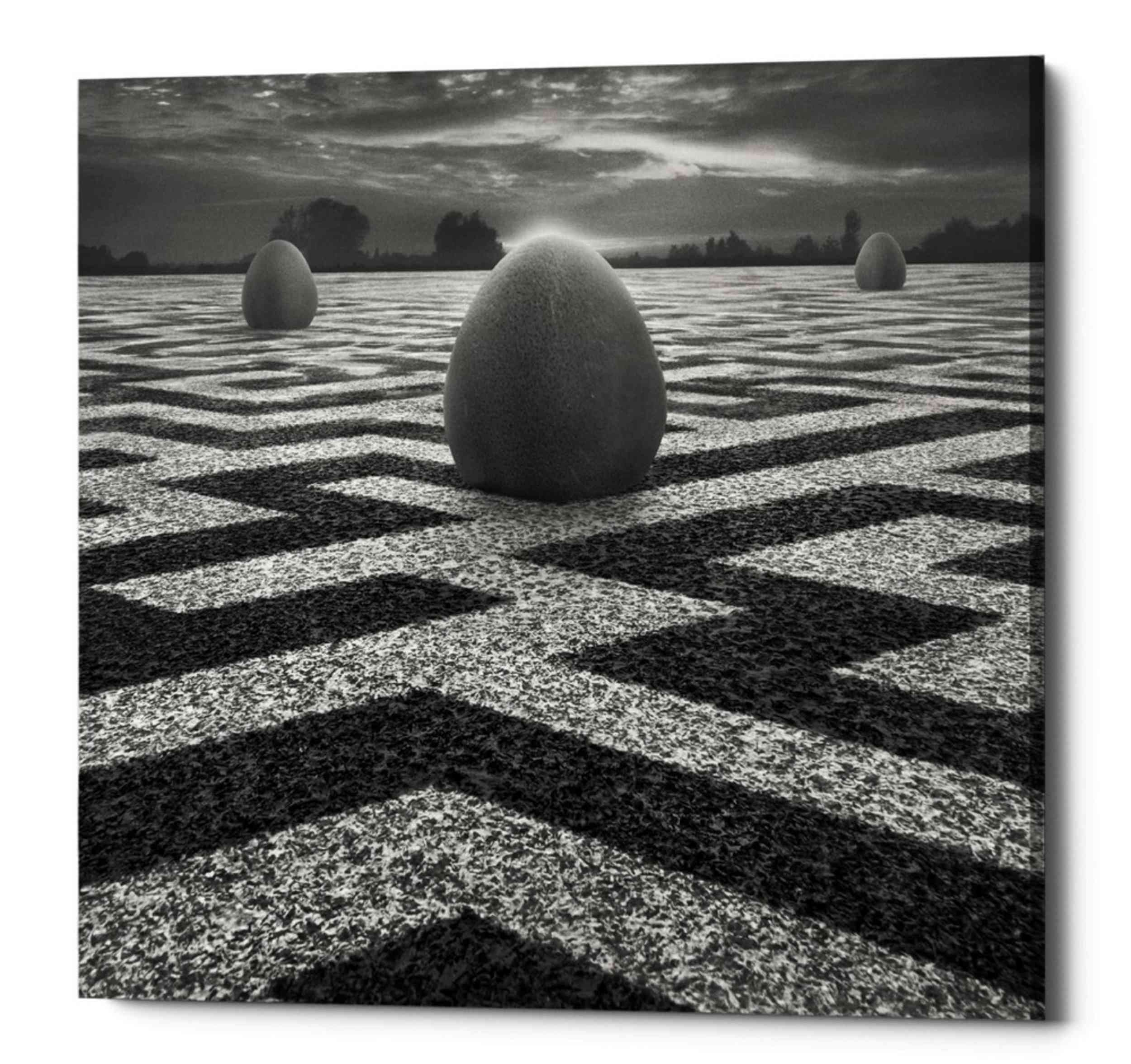 'Ptasi Labirynt' by Dariusz Klimczak, Canvas Wall Art