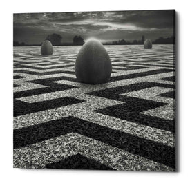 'Ptasi Labirynt' by Dariusz Klimczak, Canvas Wall Art