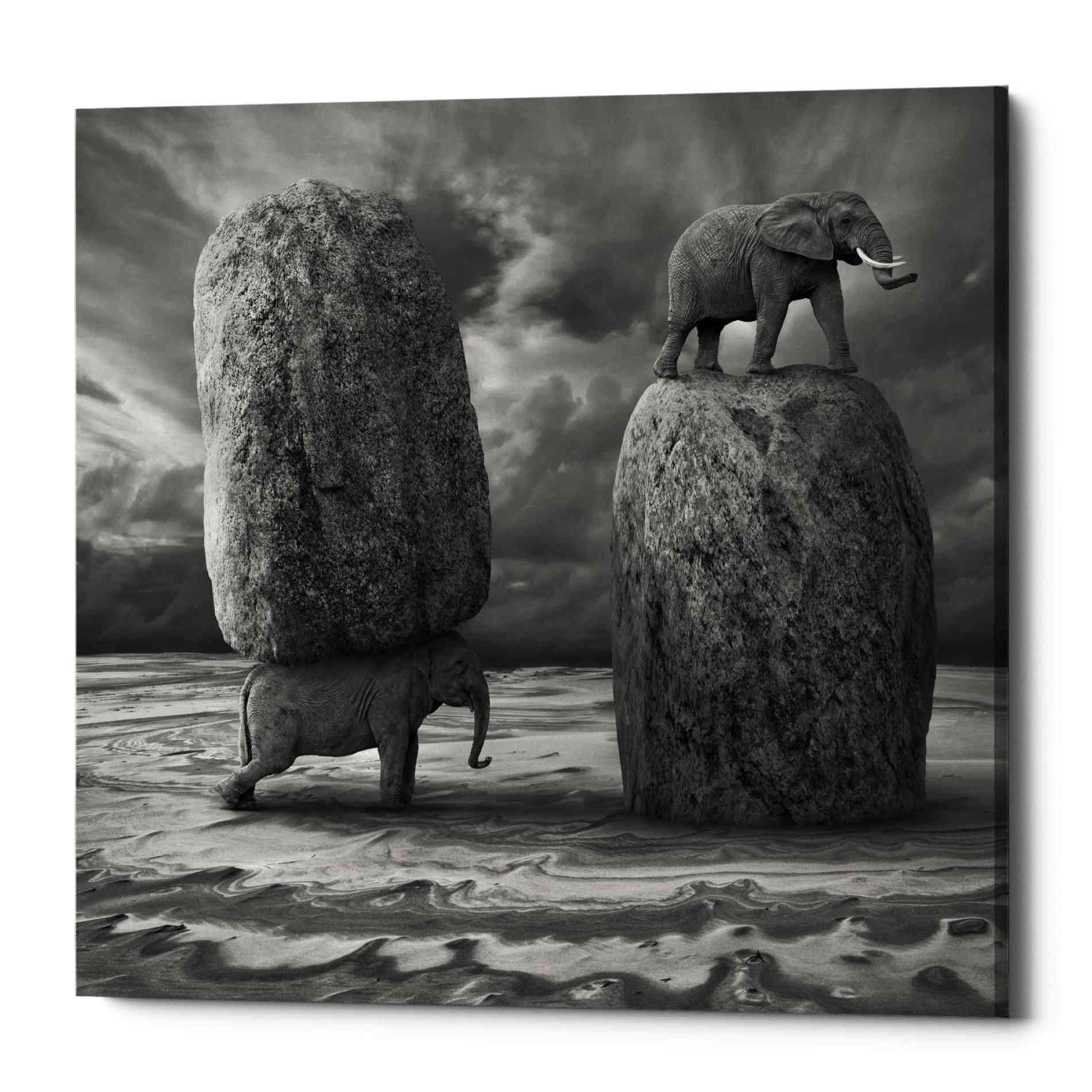 'Relativity' by Dariusz Klimczak, Canvas Wall Art