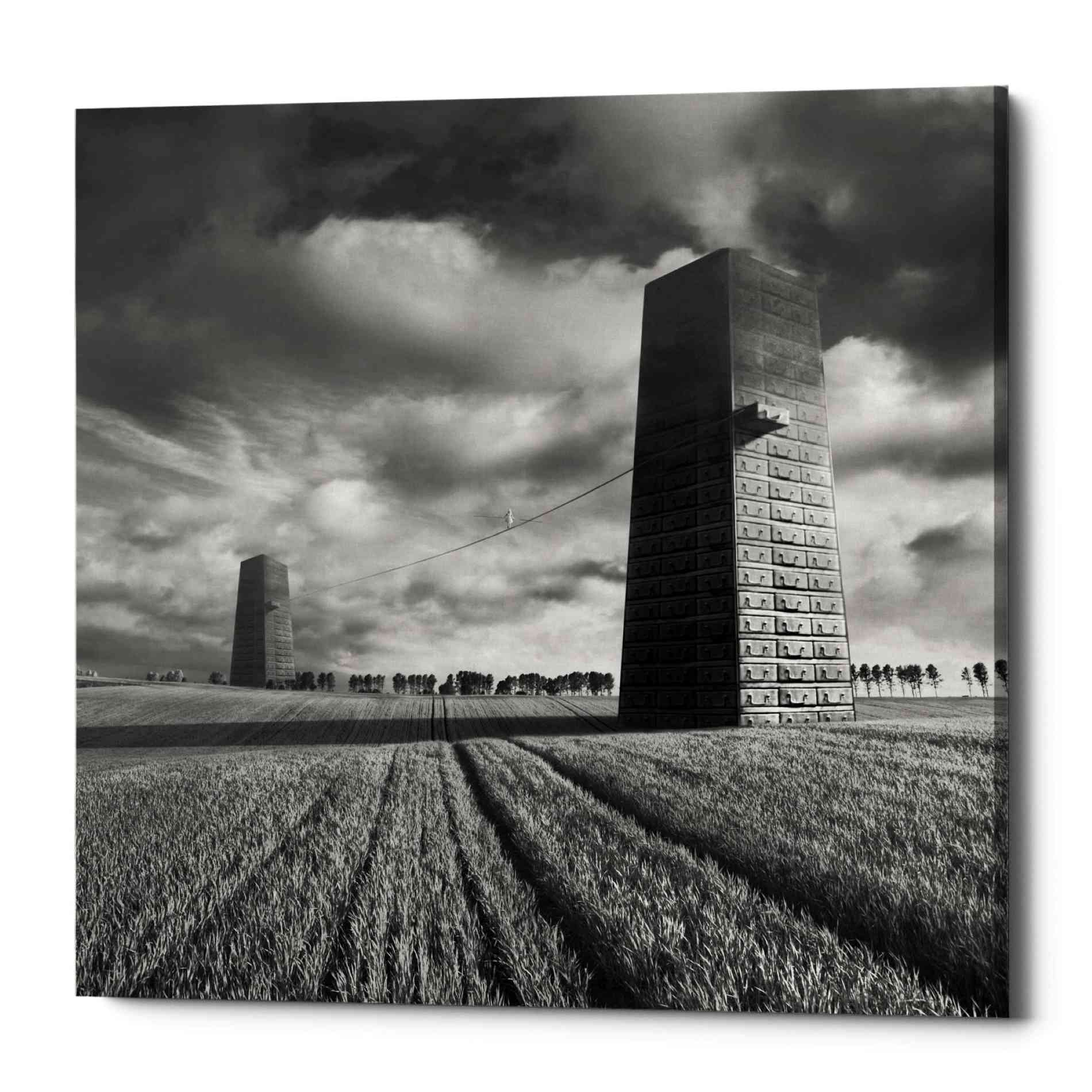 'Szflandia' by Dariusz Klimczak, Canvas Wall Art