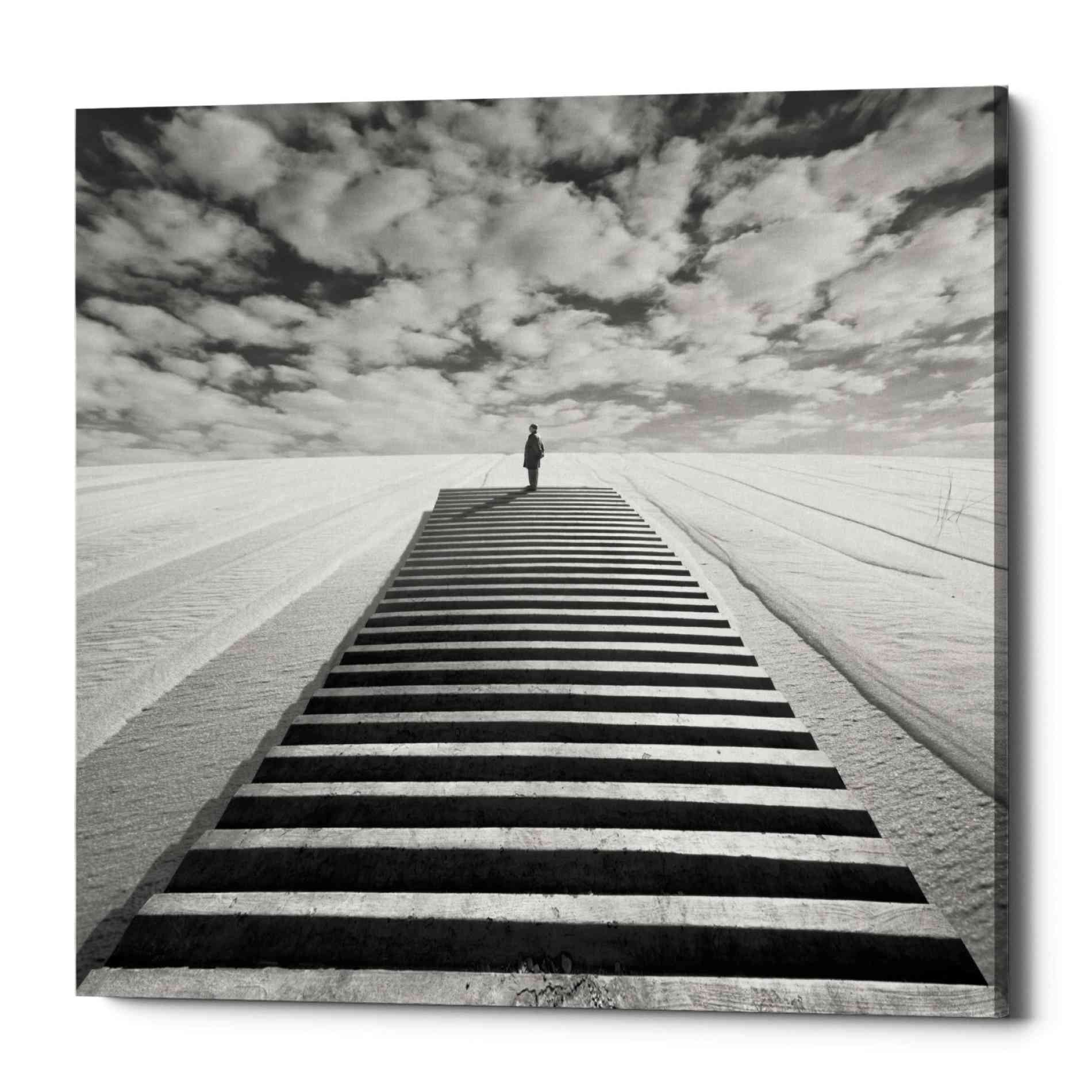 'The Observer' by Dariusz Klimczak, Canvas Wall Art