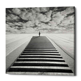 'The Observer' by Dariusz Klimczak, Canvas Wall Art