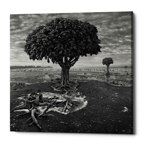 Image of 'Trees' by Dariusz Klimczak, Canvas Wall Art