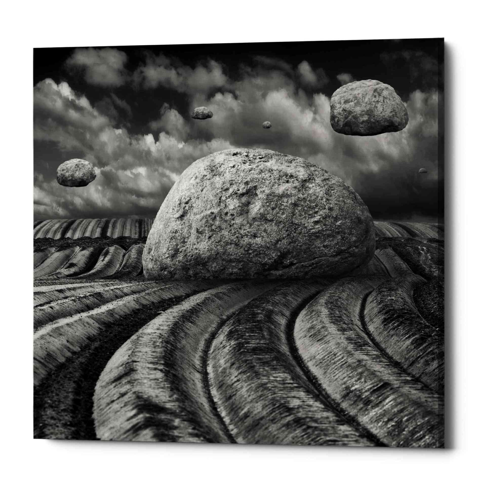 'Unharvested' by Dariusz Klimczak, Canvas Wall Art