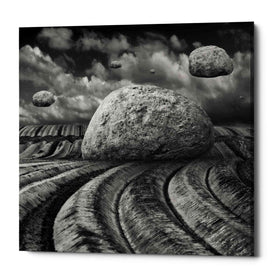 'Unharvested' by Dariusz Klimczak, Canvas Wall Art