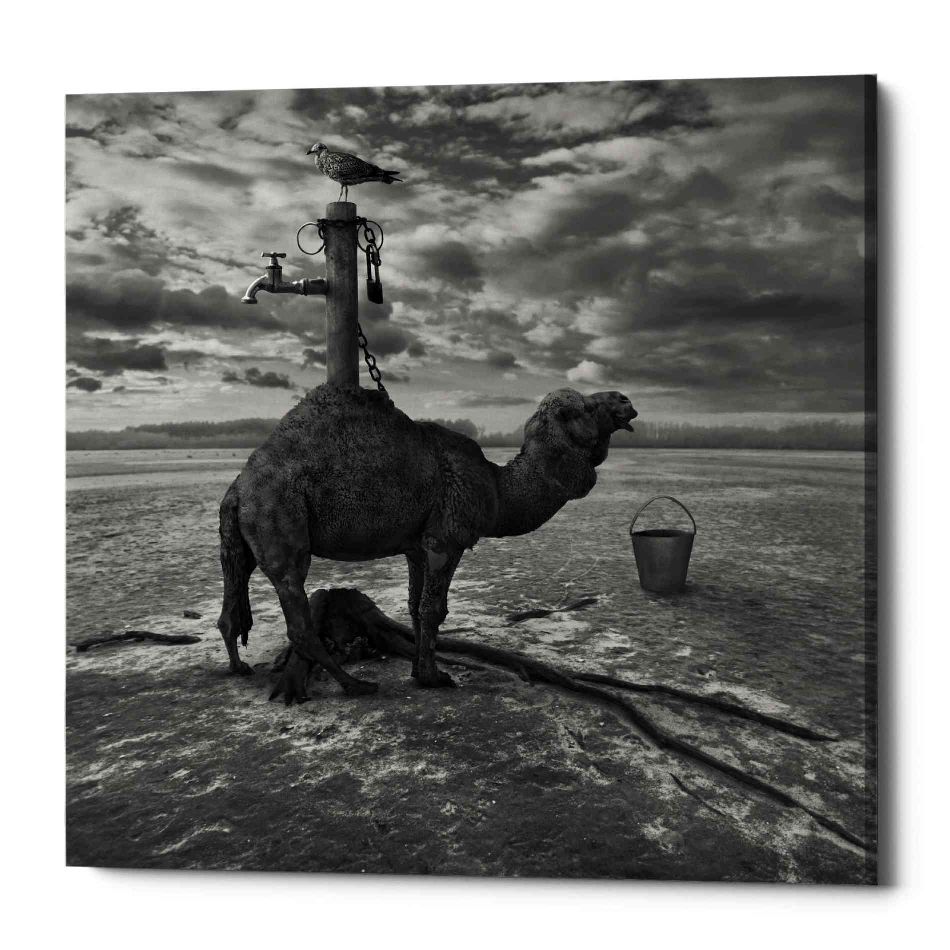 'Watering Place' by Dariusz Klimczak, Canvas Wall Art