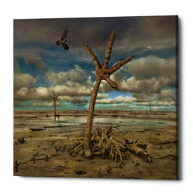 'Wetlands' by Dariusz Klimczak, Canvas Wall Art