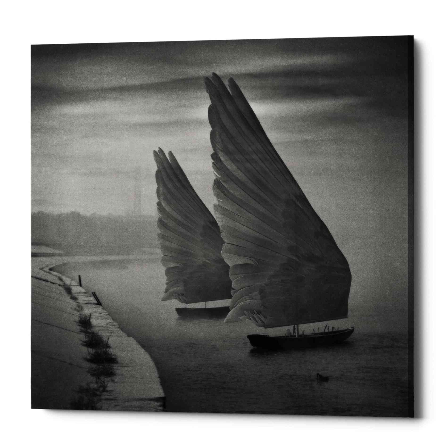 'Wings of Imagination' by Dariusz Klimczak, Canvas Wall Art