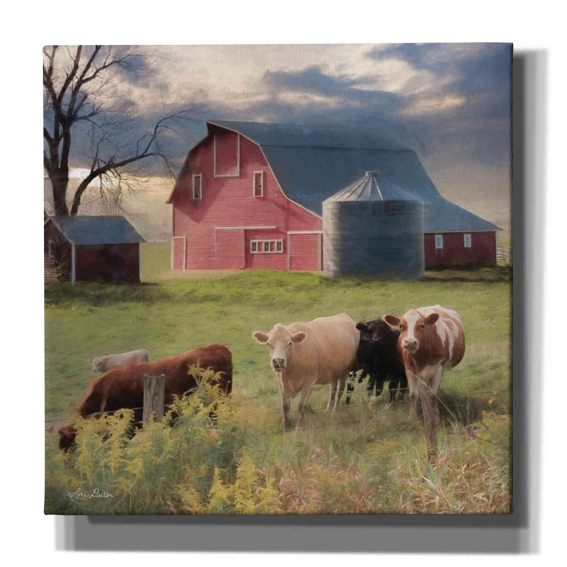 'Wyoming Sunset' by Lori Deiter, Canvas Wall Art,Size 1 Square
