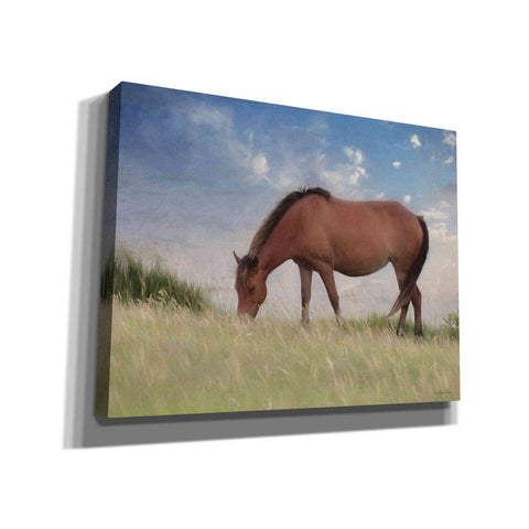 Image of 'Assataegue Horse' by Lori Deiter, Canvas Wall Art,Size B Landscape