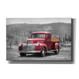 'American Made with Flowers' by Lori Deiter, Canvas Wall Art,Size A Landscape