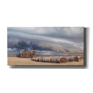 'Tornado Warning' by Lori Deiter, Canvas Wall Art,Size 2 Landscape