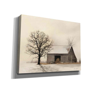 'Winter Shadows' by Lori Deiter, Canvas Wall Art,Size B Landscape