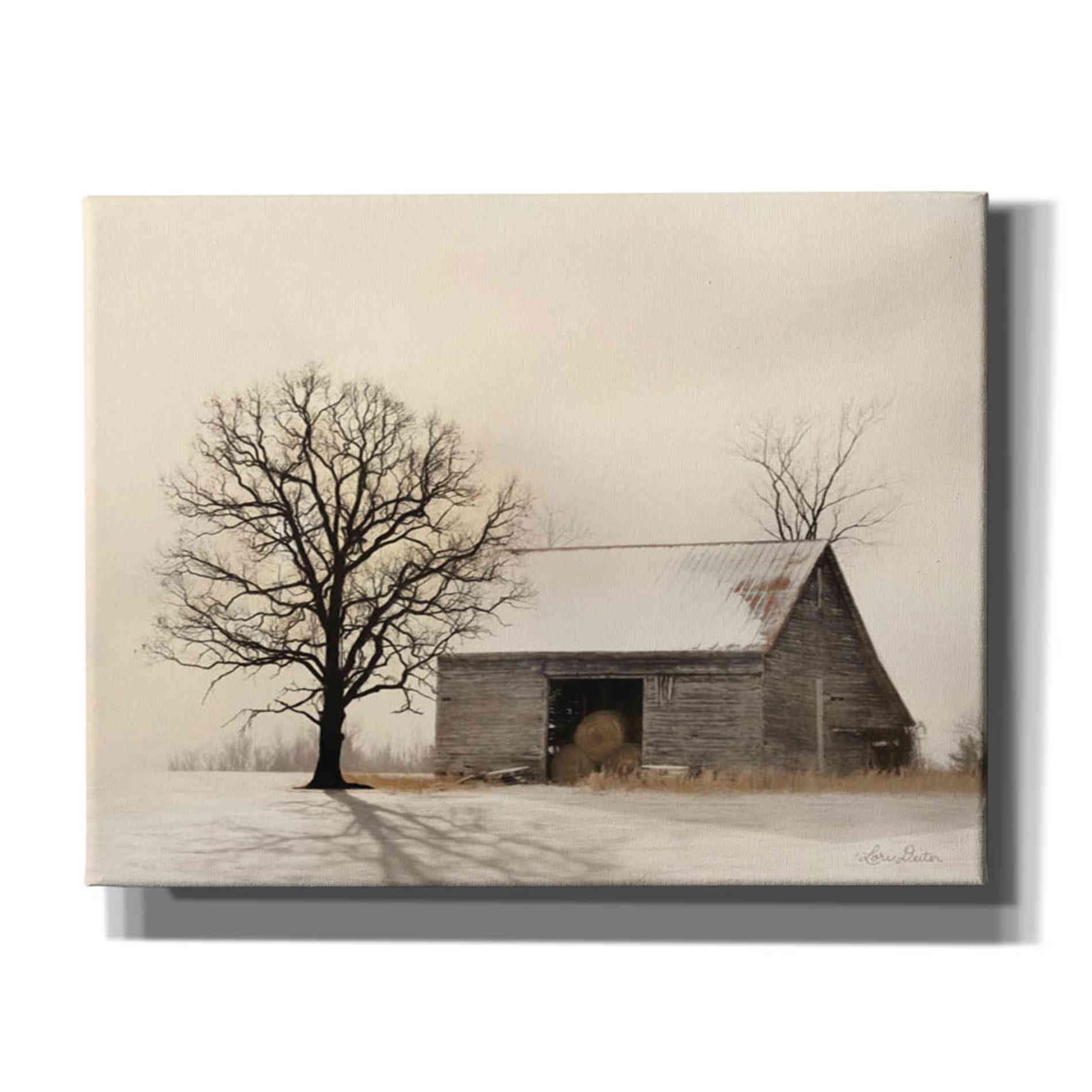 'Winter Shadows' by Lori Deiter, Canvas Wall Art,Size B Landscape
