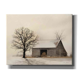 'Winter Shadows' by Lori Deiter, Canvas Wall Art,Size B Landscape