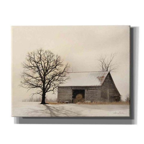 Image of 'Winter Shadows' by Lori Deiter, Canvas Wall Art,Size B Landscape