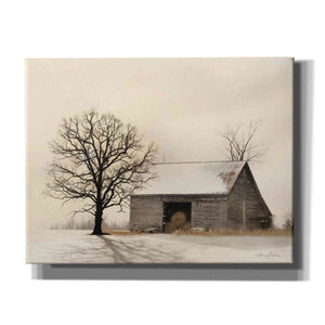 'Winter Shadows' by Lori Deiter, Canvas Wall Art,Size B Landscape