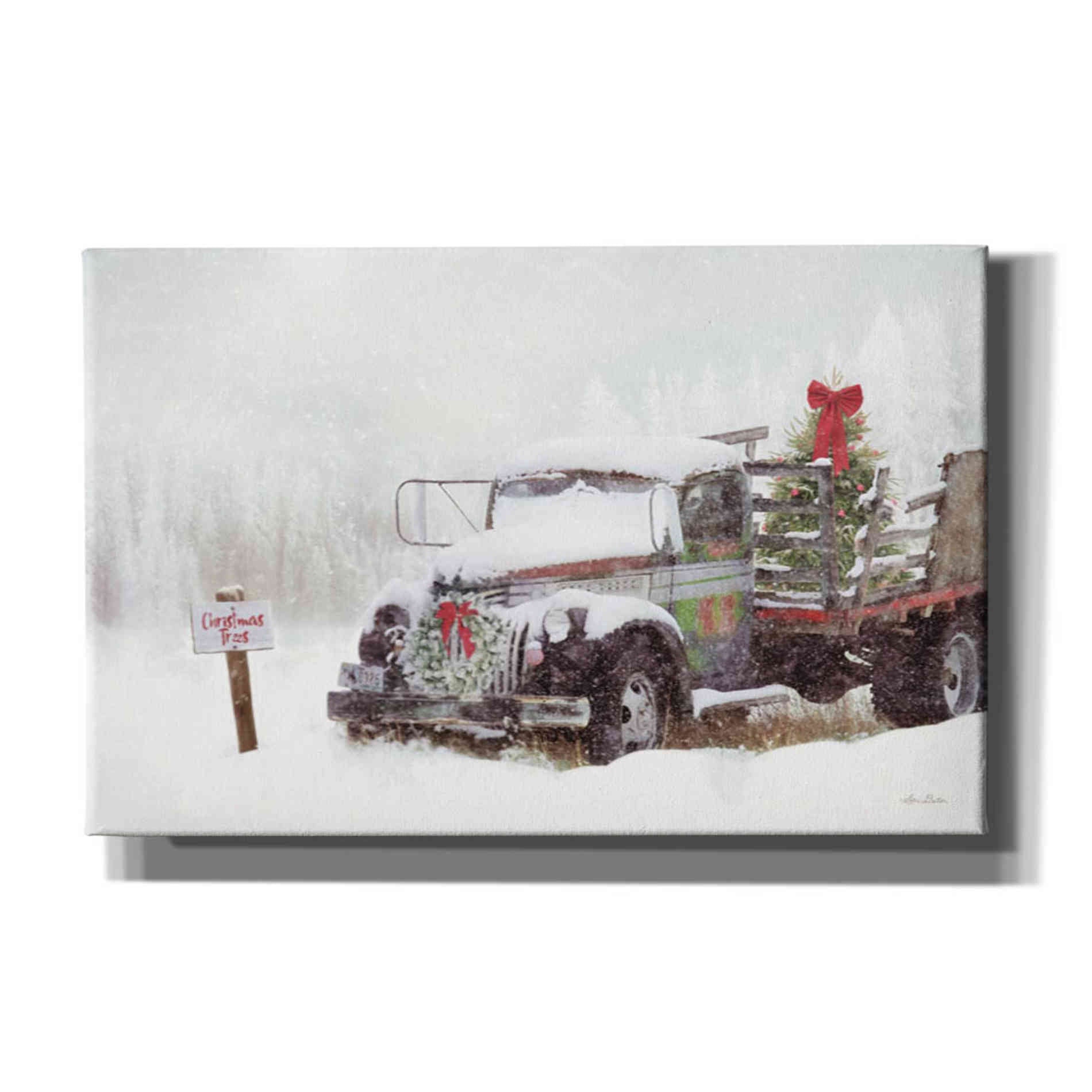 'Wyoming Tree Farm' by Lori Deiter, Canvas Wall Art,Size A Landscape